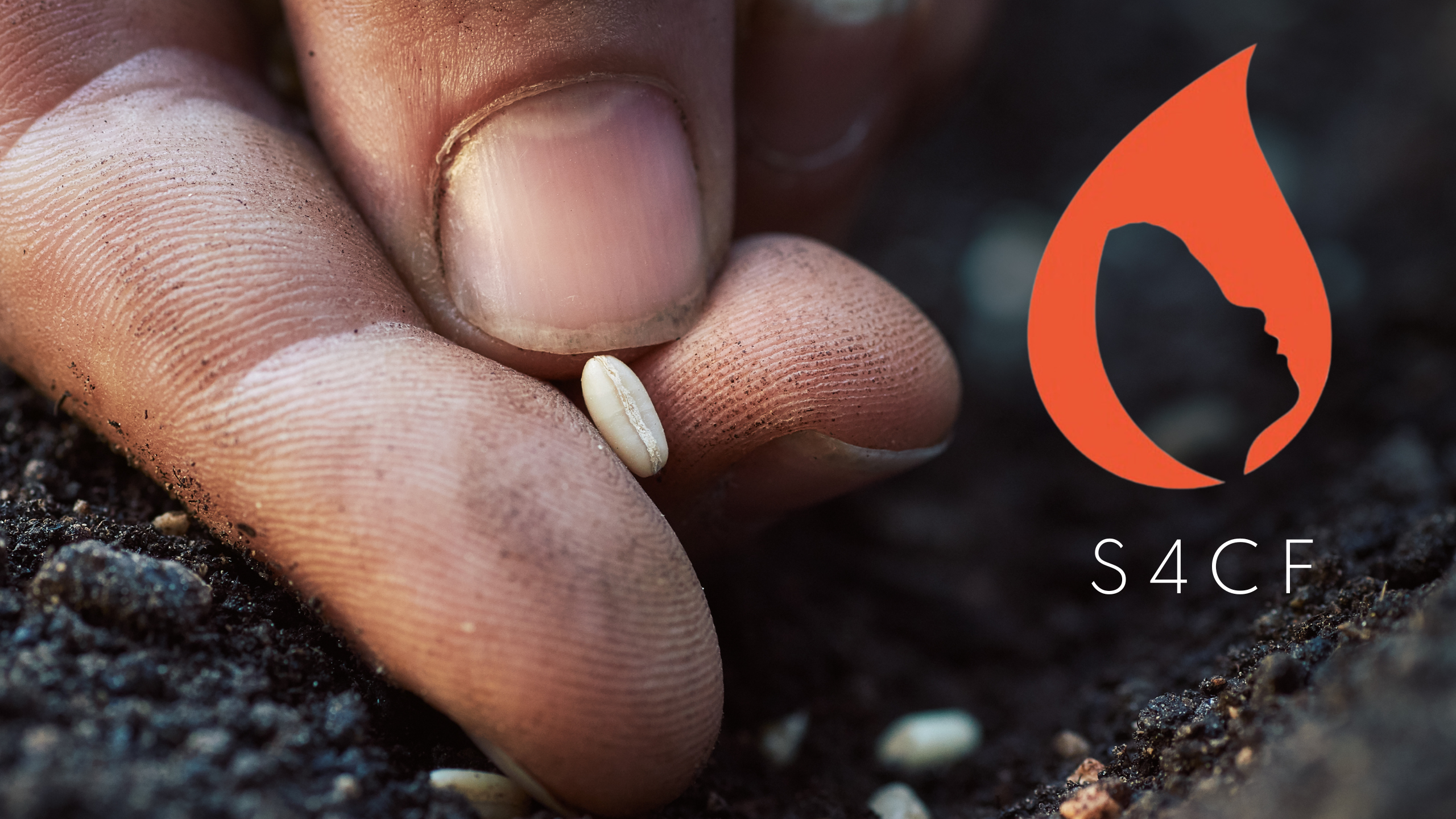 Sowing Hope: Our Seeds for Change Foundation