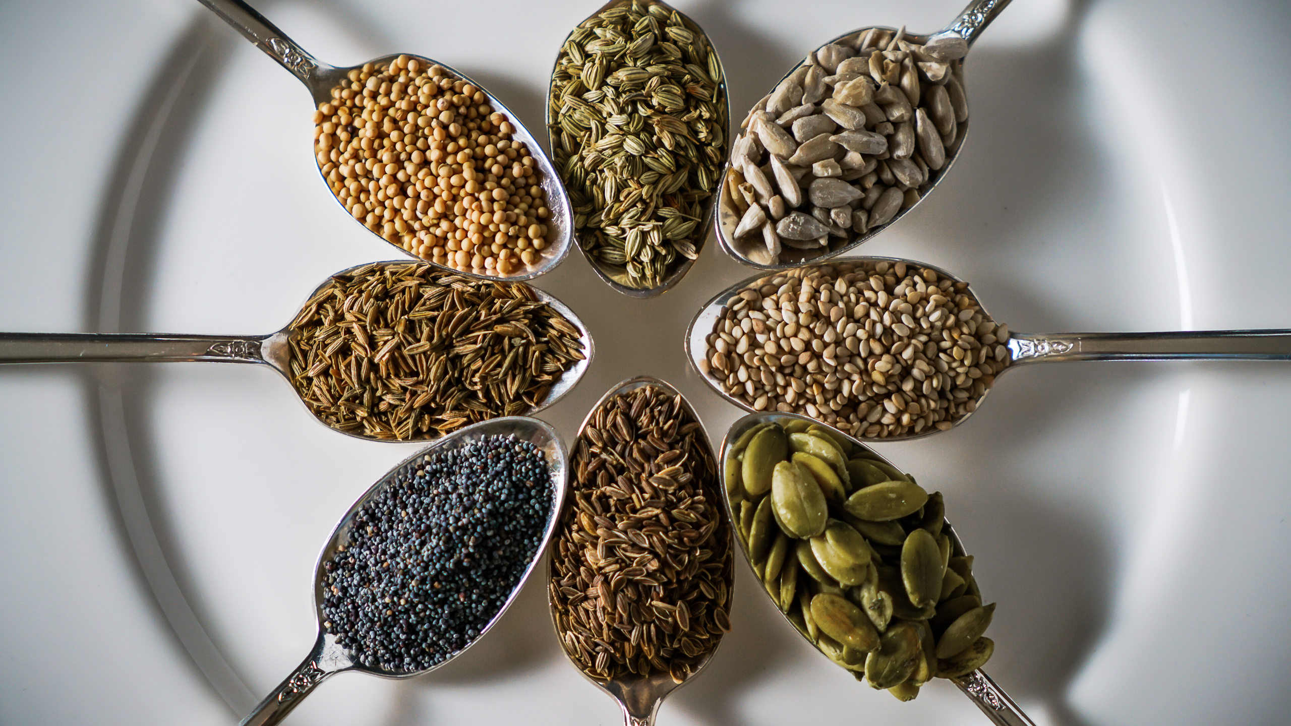 The Science of Seed Nutrition: Why Small Seeds Pack a Big Punch